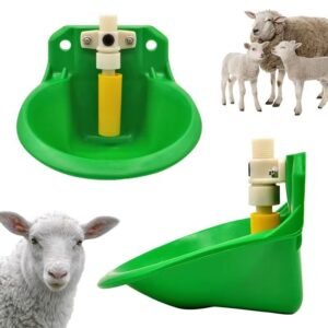 Goat Sheep Water Drinker