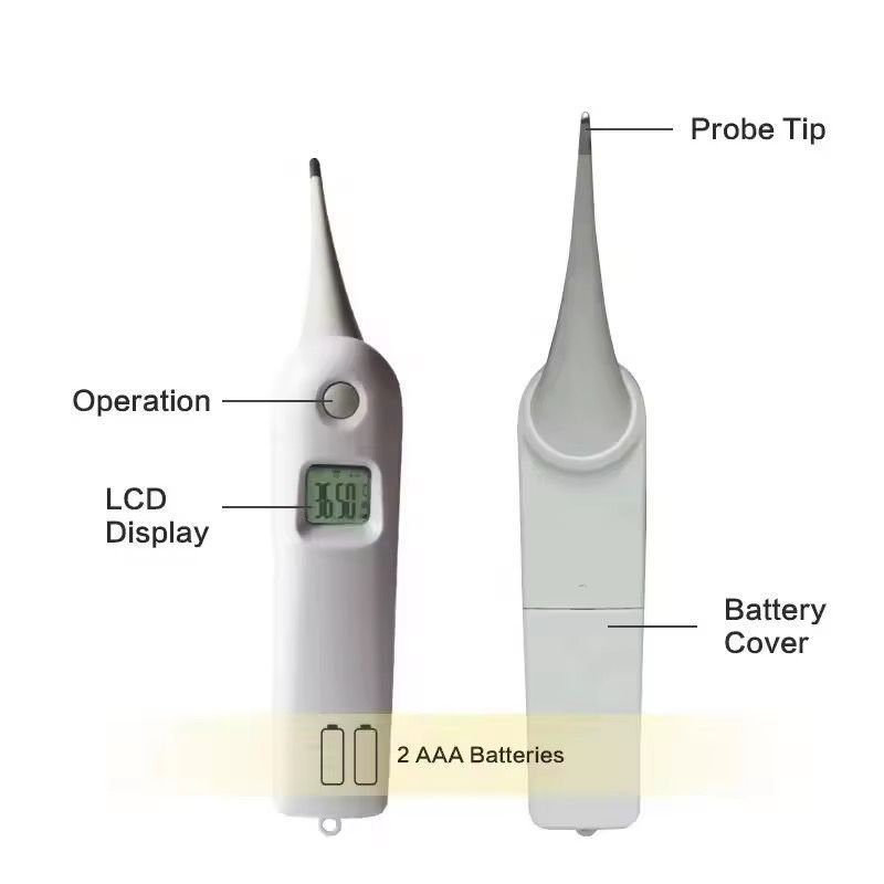 Cattle Thermometer - Image 2