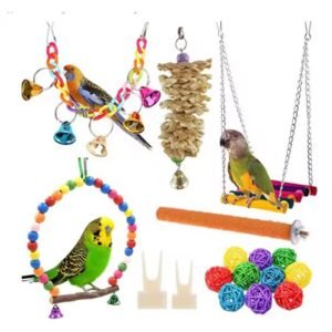 Parrots Toys